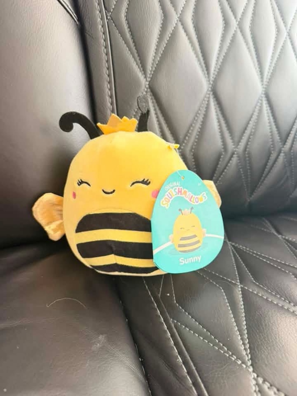NWT Squishmallow